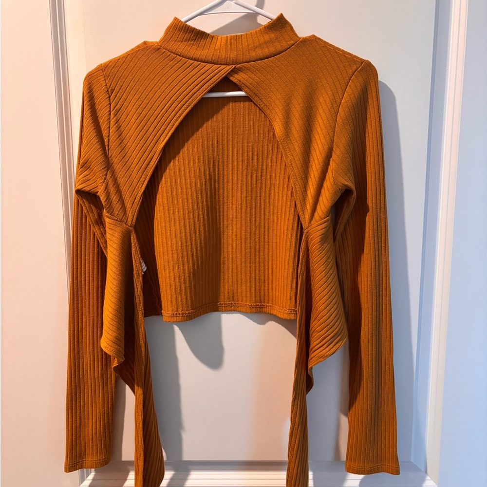 Forever 21 Ribbed Amber Crop Top